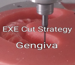 EXE Cut Strategy GENGIVA