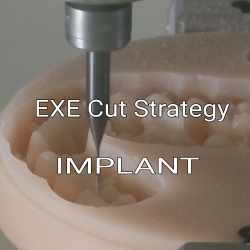 EXE Cut Strategy IMPLANT